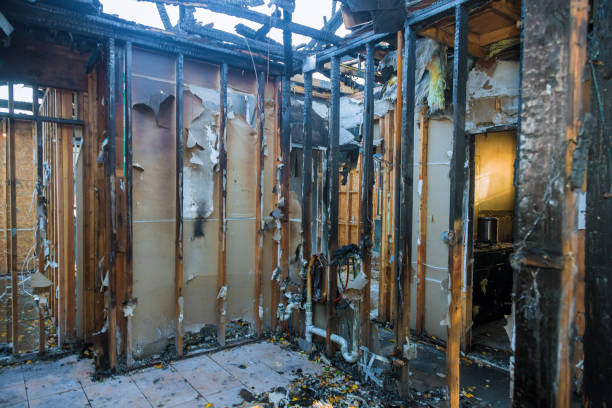 Professional Odor Removal technician working in Quantico Base, VA